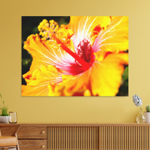 Orange Hibiscus Flower Side View Canvastryck