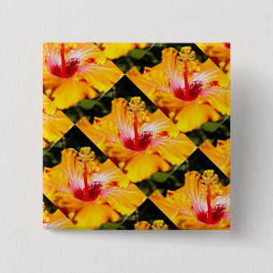Orange Hibiscus Flower Side View Knapp