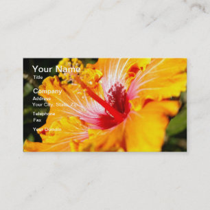 Orange Hibiscus Flower Side View Visitkort