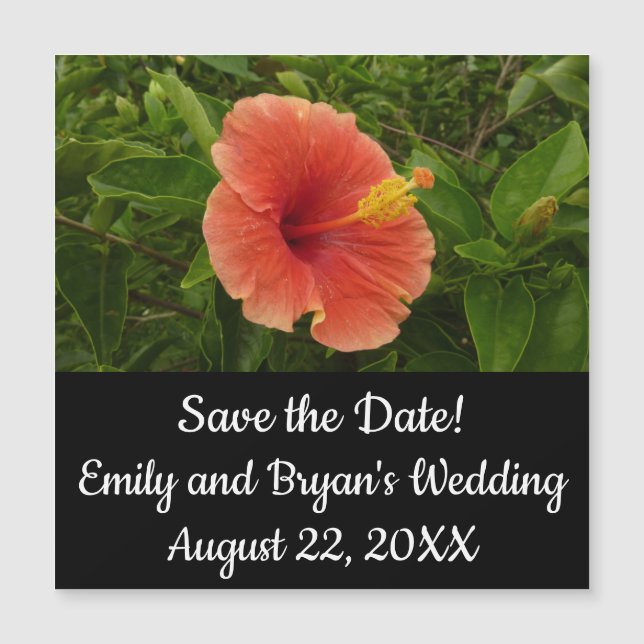 Orange Hibiscus Flower Tropical Blommigt (Framsida)