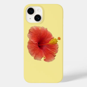Orange Hibiscus Flower Tropical Blommigt