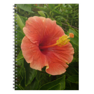 Orange Hibiscus Flower Tropical Blommigt Anteckningsbok