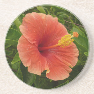 Orange Hibiscus Flower Tropical Blommigt Underlägg
