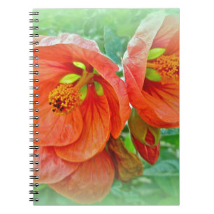 Orange Hibiscus Flowers Anteckningsbok