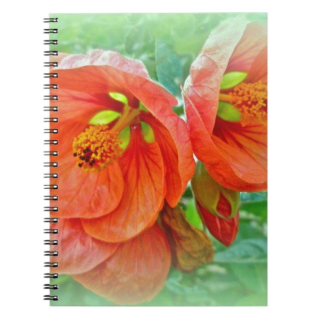 Orange Hibiscus Flowers Anteckningsbok (Framsidan)