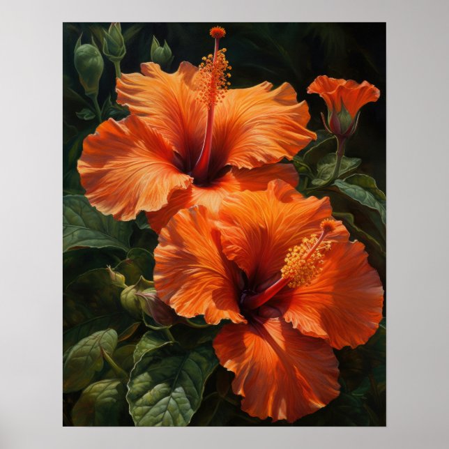 Orange Hibiscus Flowers Art Print Poster (Framsidan)