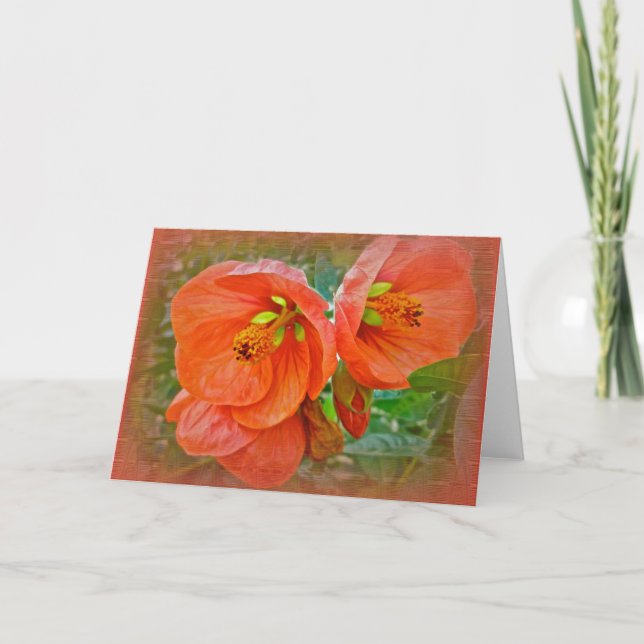 Orange Hibiscus Flowers Kort (Framsida)