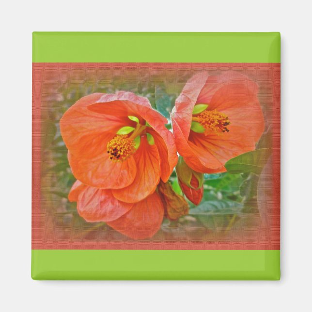 Orange Hibiscus Flowers Magnet (Framsidan)
