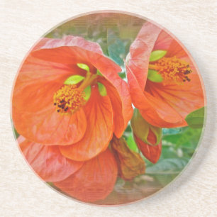 Orange Hibiscus Flowers Underlägg