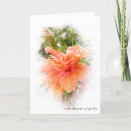 orange hibiscus för sympati kort