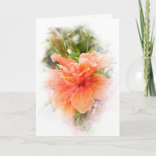 orange hibiscus för sympati kort (Framsida)