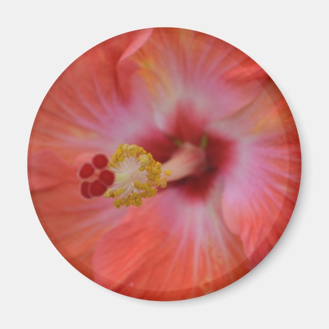 Orange Hibiscus Magnet (Framsidan)