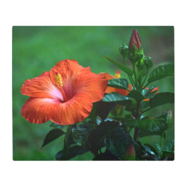 Orange Hibiscus Metall Wall Art