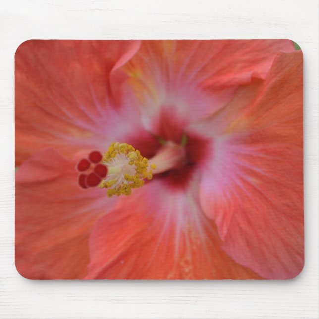 Orange Hibiscus Musmattor (Framsidan)