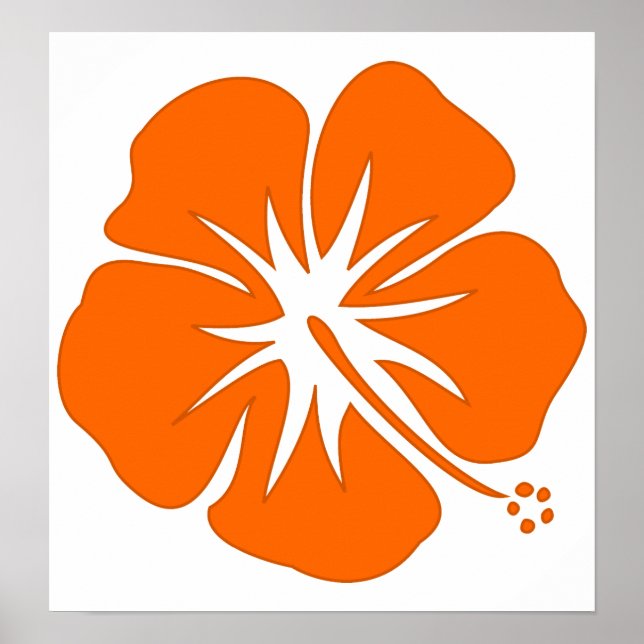 Orange Hibiscus Poster (Framsidan)