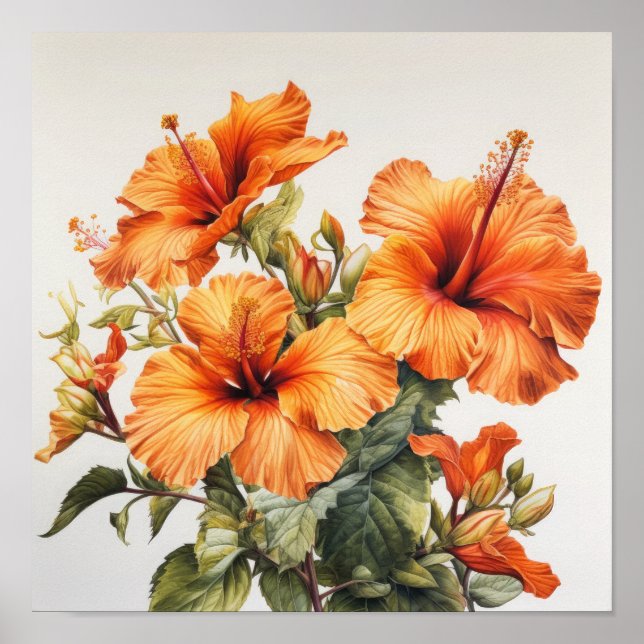 Orange Hibiscus Poster för färgreduktutskrift (Framsidan)