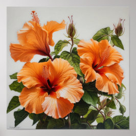 Orange Hibiscus Poster för färgreduktutskrift