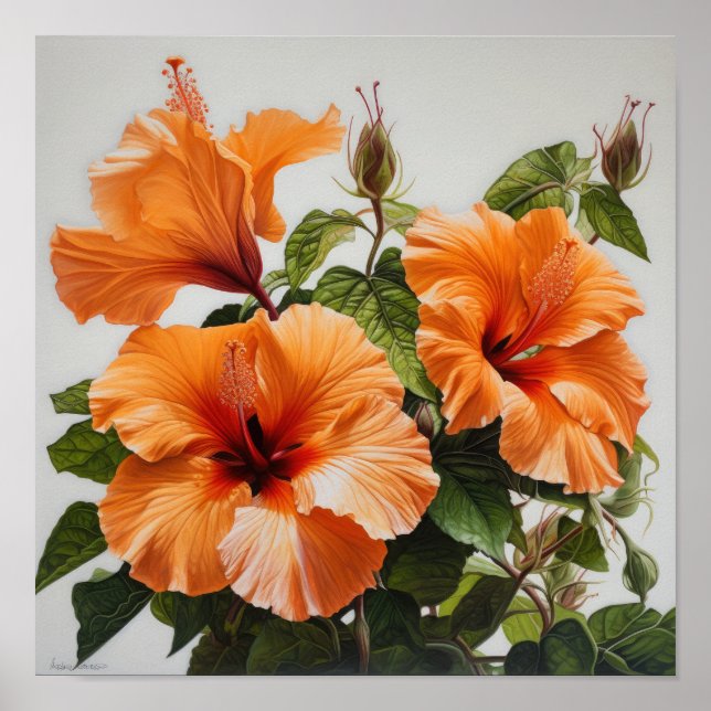 Orange Hibiscus Poster för färgreduktutskrift (Framsidan)