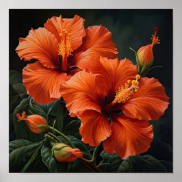 Orange Hibiscus Poster för färgreduktutskrift