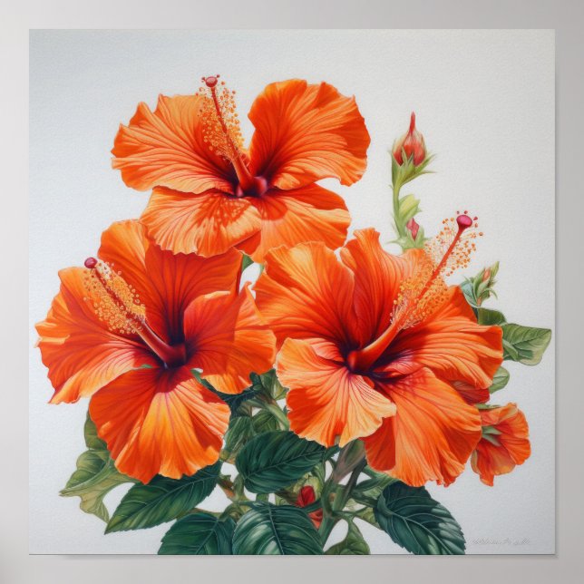 Orange Hibiscus Poster för färgreduktutskrift (Framsidan)