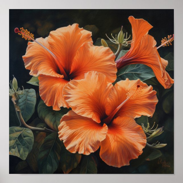 Orange Hibiscus Poster för färgreduktutskrift (Framsidan)