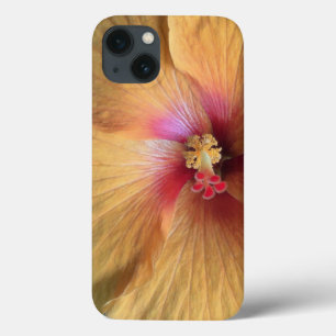 Orange Hibiscus Ruffle