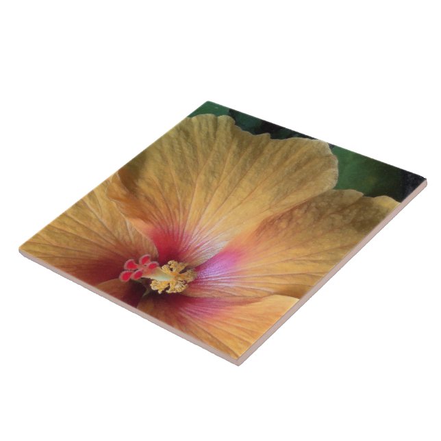 Orange Hibiscus Ruffle Kakelplatta (Sidan)