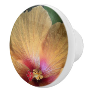 Orange Hibiscus Ruffle Knopp