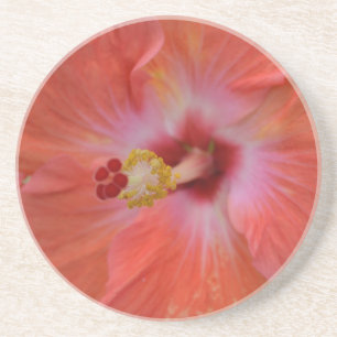 Orange Hibiscus Sandstone Underlägg