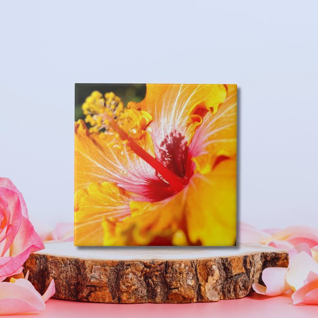 Orange Hibiscus sidvy Kakelplatta (Orange Hibiscus Side View Tile)
