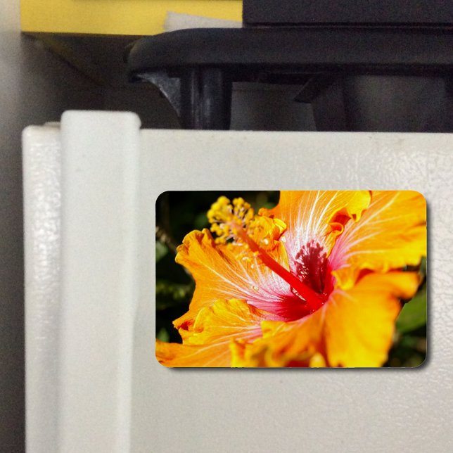 Orange Hibiscus sidvy Magnet (Orange Hibiscus Side View Flexible Magnet)