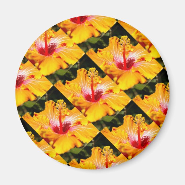 Orange Hibiscus sidvy Magnet (Framsidan)
