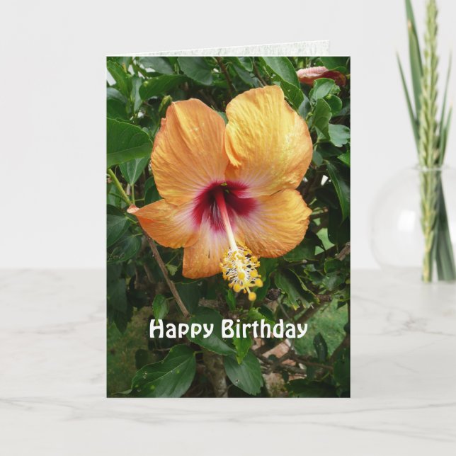 Orange Hibiscus Tropical Flower Birthday-mall Kort (Framsida)
