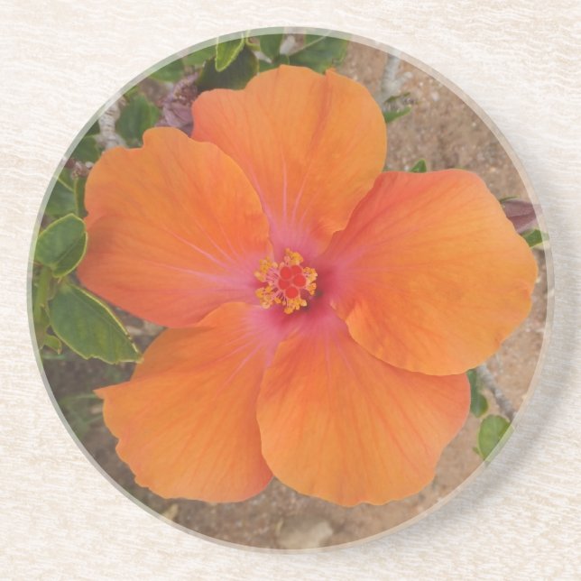 Orange Hibiscus underlägg Sandsten (Framsidan)