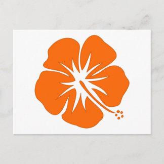 Orange Hibiscus Vykort