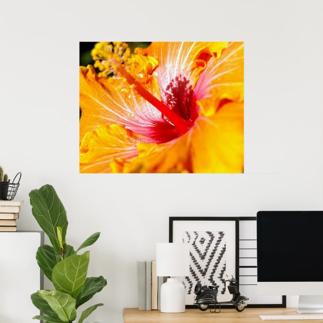 Orange Hibiskus Blomma Sidovy 30x24 Poster (Hemmakontoret)