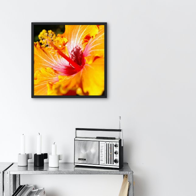 Orange Hibiskus Blomma Sidovy liten Poster (Skapare uppladdad)