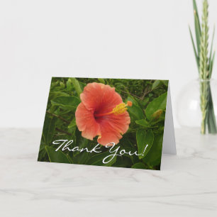 Orange Hibiskus Blomma Tropisk Blomma Tack Kort