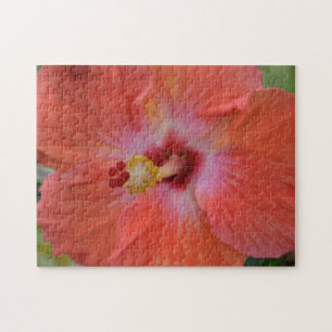 Orange Hibiskus Pussel