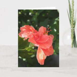Orange hibiskushälsningkort kort