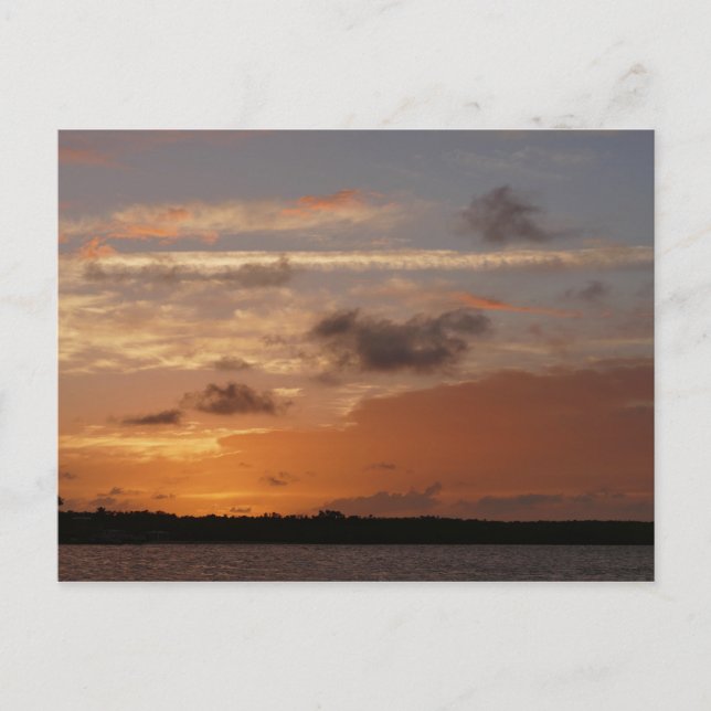 Orange Himlar efter Sunset i Florida Vykort (Framsida)