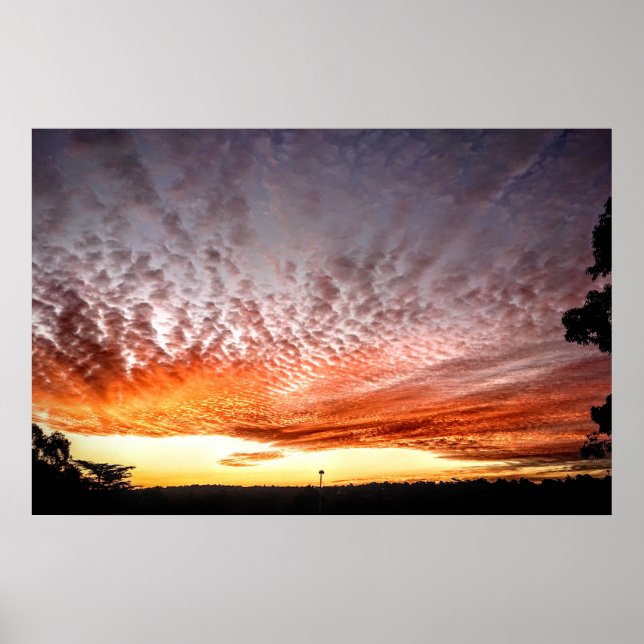 Orange Himlar Poster (Framsidan)