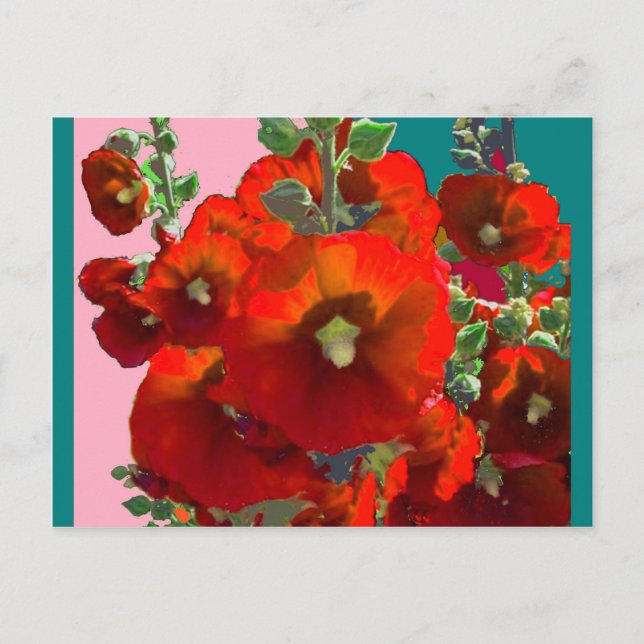 Orange Hollyhock Garden Gifts Vykort (Framsida)