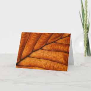 Orange hösten löv kort