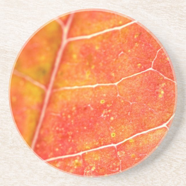 Orange höstlönnblad sandsten underlägg (Framsidan)
