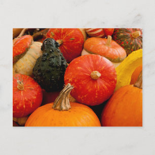 Orange - höstpumpa vykort