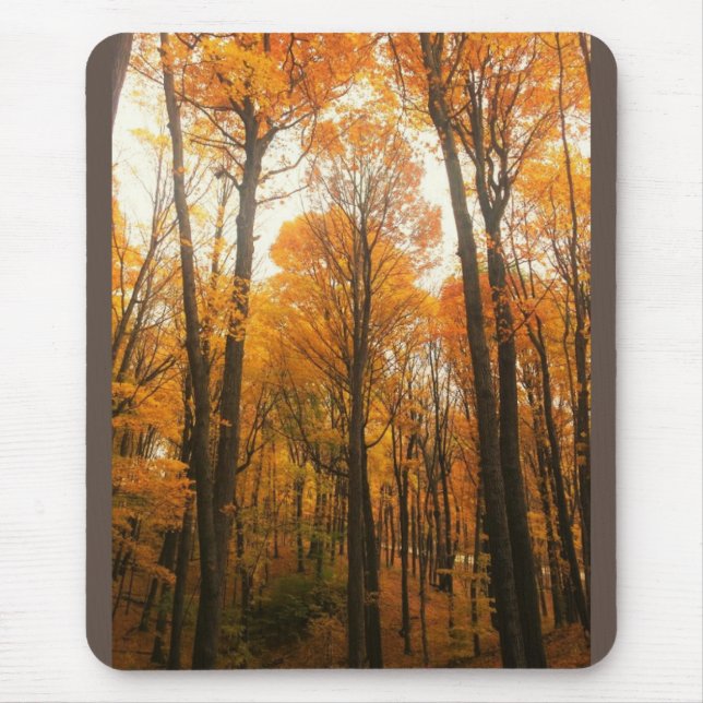 Orange - höstskog musmatta (Framsidan)