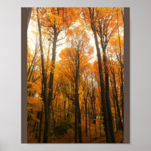 Orange - höstskog poster