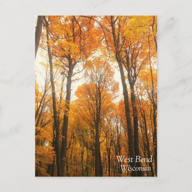 Orange - höstskog vykort (Framsida)