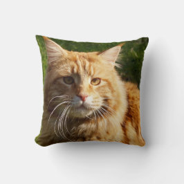 Orange House Cat Kudde